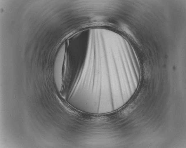 X0000073911225200609011736
