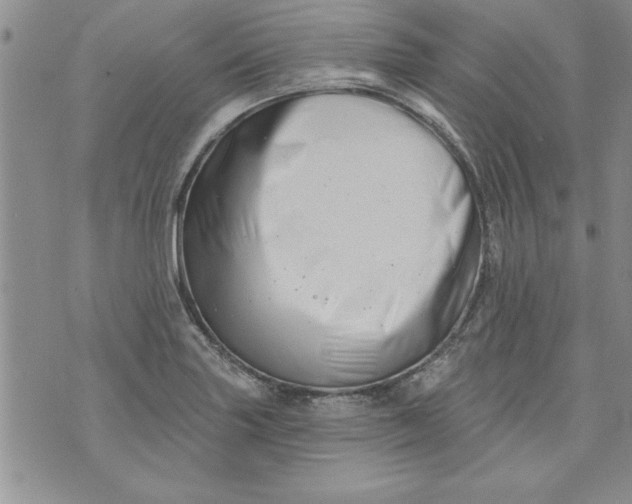 X0000073911227200609011736