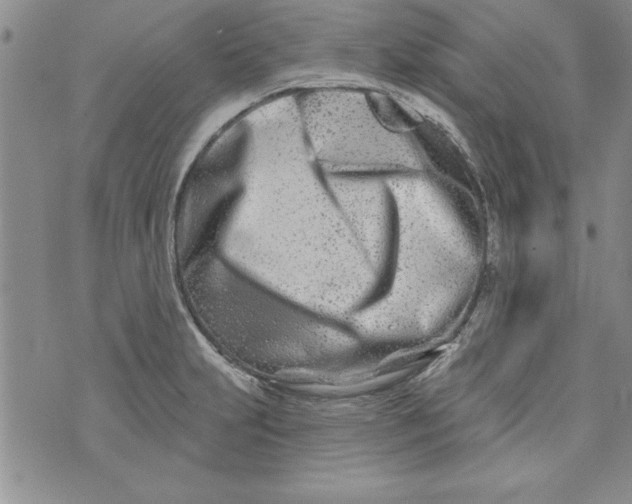 X0000073911231200609011736