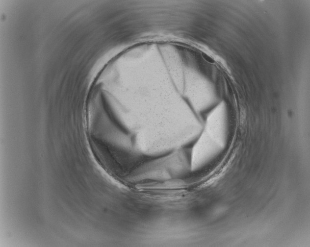 X0000073911239200609011736