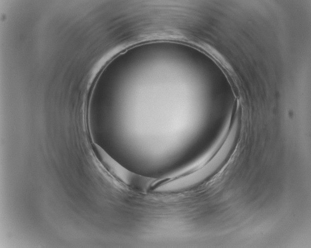 X0000073911246200609011736