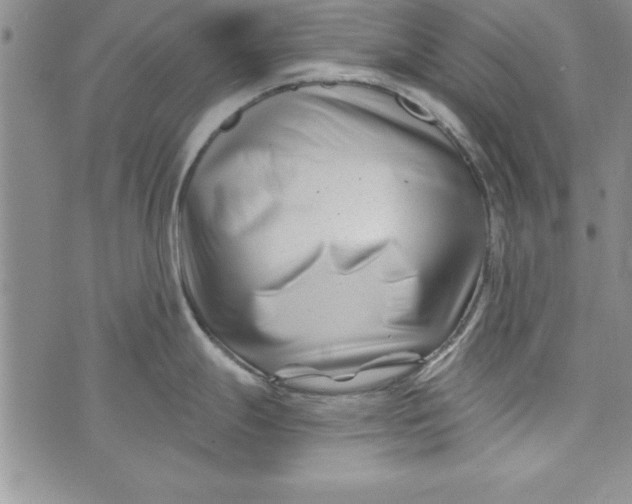 X0000073911247200609011736