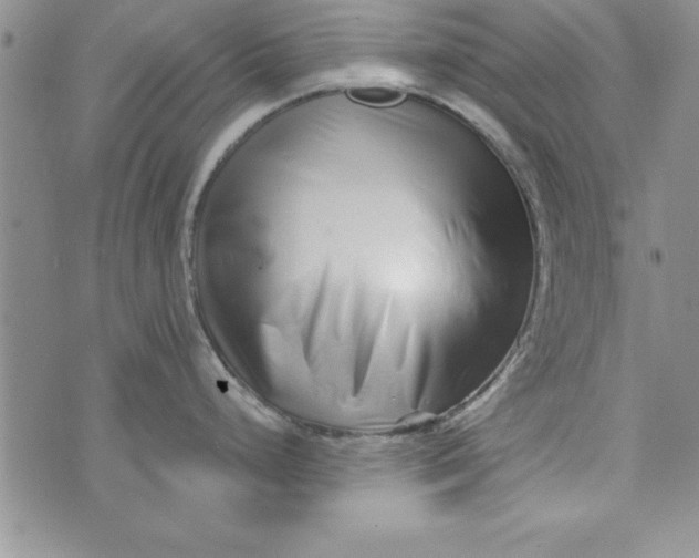 X0000073911248200609011736