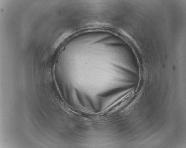 X0000073911259200609011735