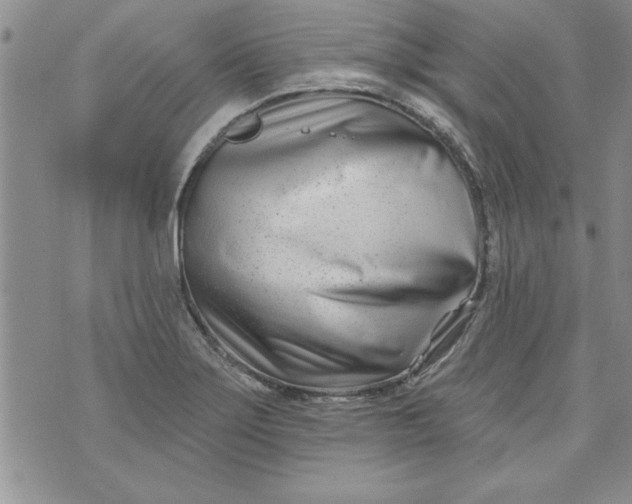 X0000073911275200609011735