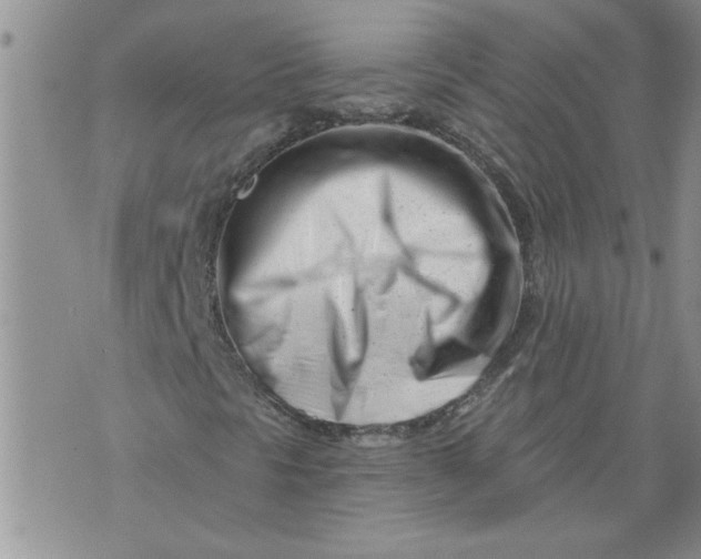 X0000073911297200609011734