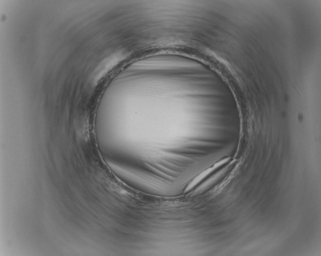 X0000073911306200609011734