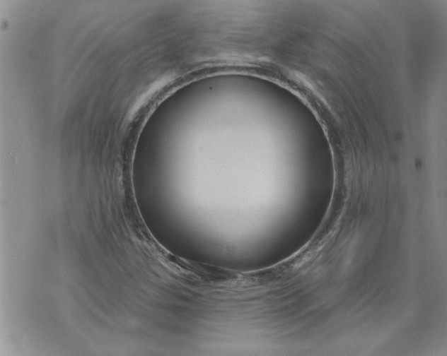 X0000073911307200609011734