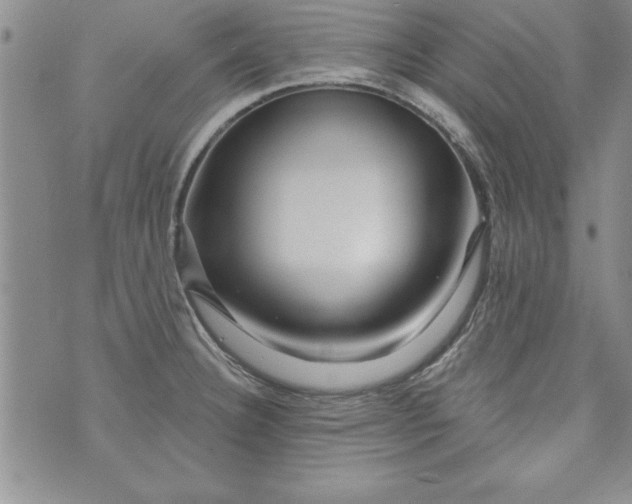 X0000073911332200609011734