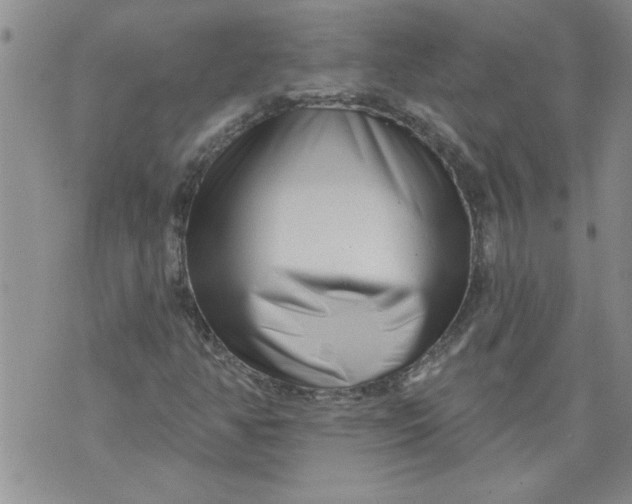 X0000073911350200609011734