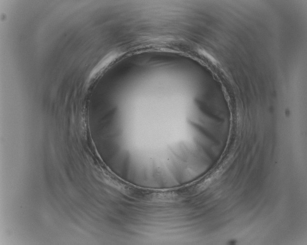 X0000073911354200609011734