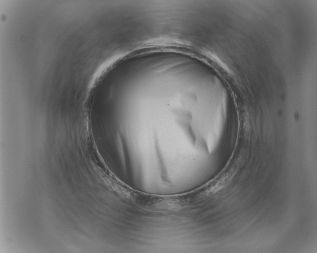 X0000073911358200609011733