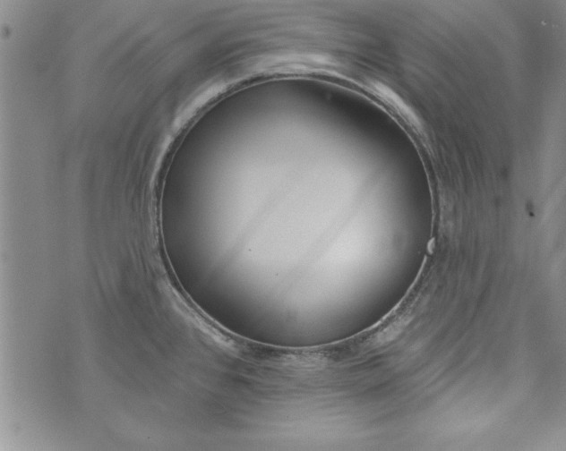 X0000073911384200609011733