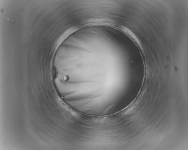 X0000073911386200609011733