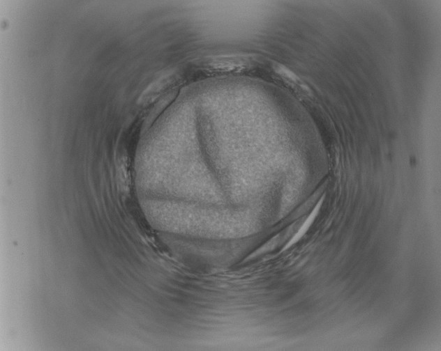 X0000073911394200609011732