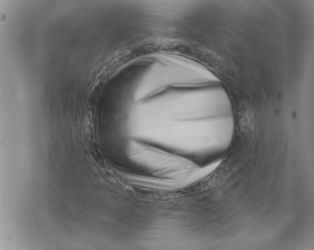X0000073911397200609011732