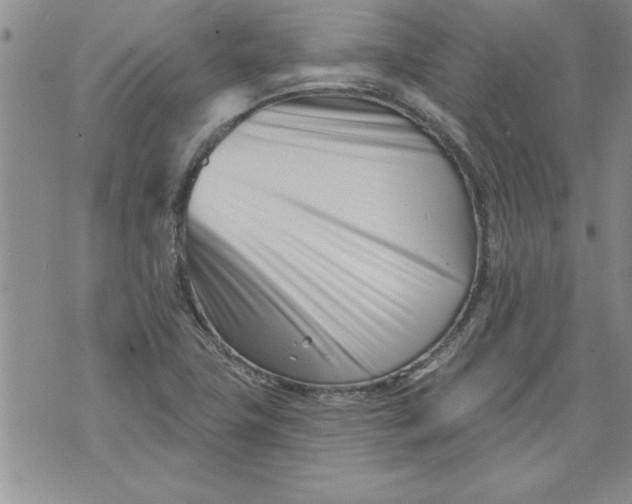 X0000073911411200609011732