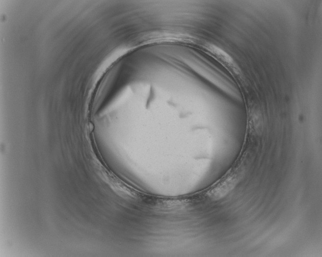 X0000073911427200609011733