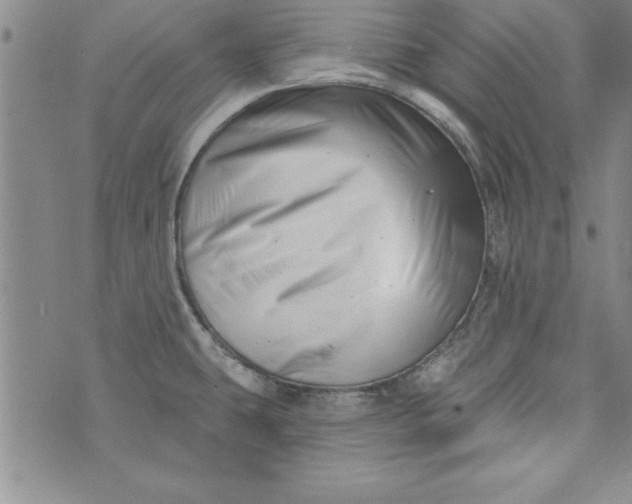 X0000073911431200609011733