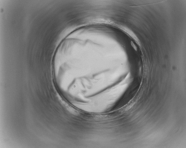 X0000073911439200609011733