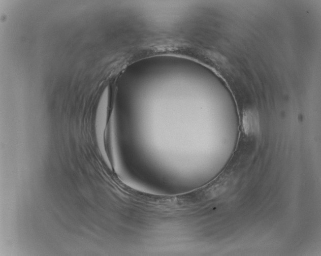 X0000073911444200609011732