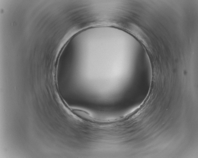 X0000073911484200609011731