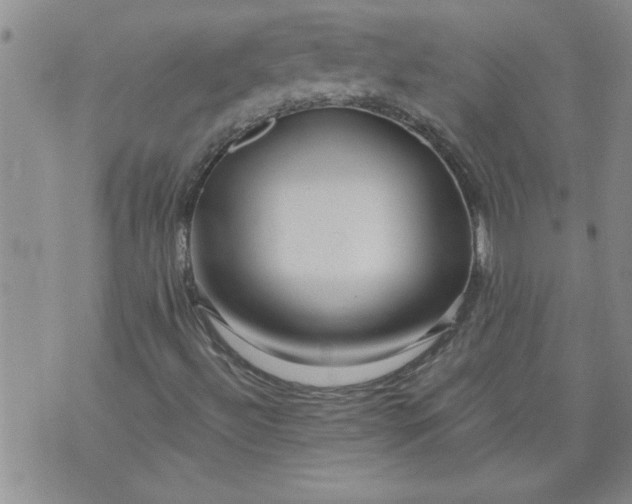X0000073911492200609011730