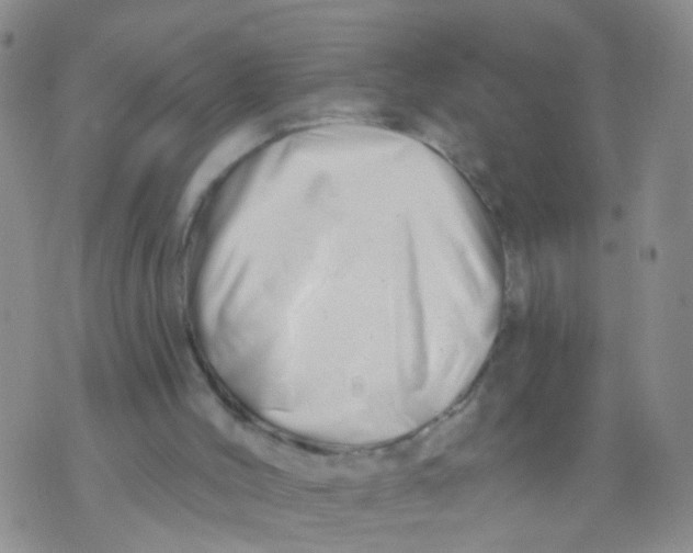 X0000073910004200609082224