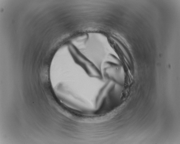 X0000073910017200609082224
