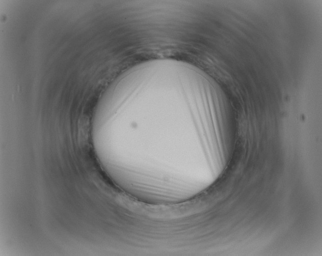 X0000073910030200609082224