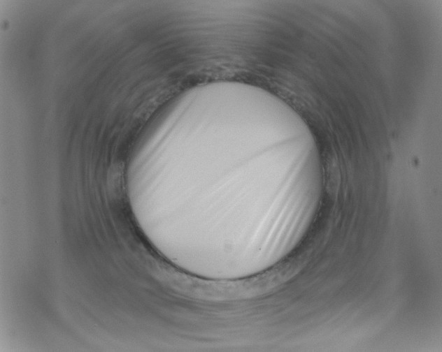 X0000073910034200609082224