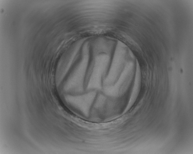 X0000073910035200609082224