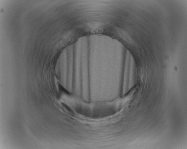 X0000073910039200609082224