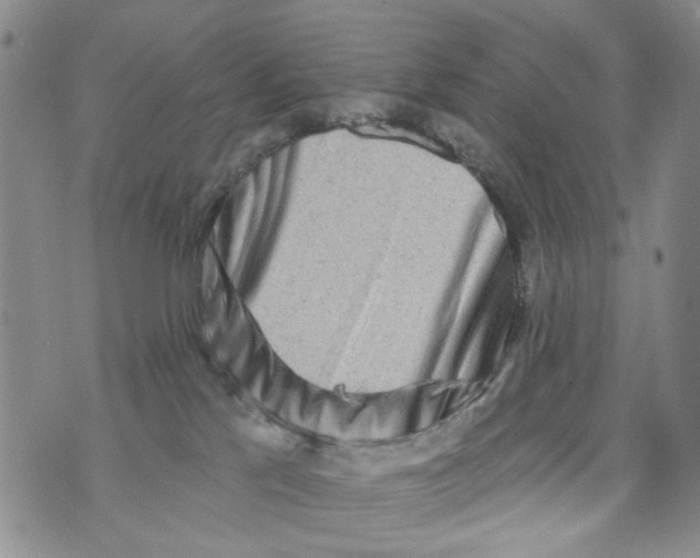 X0000073910041200609082224