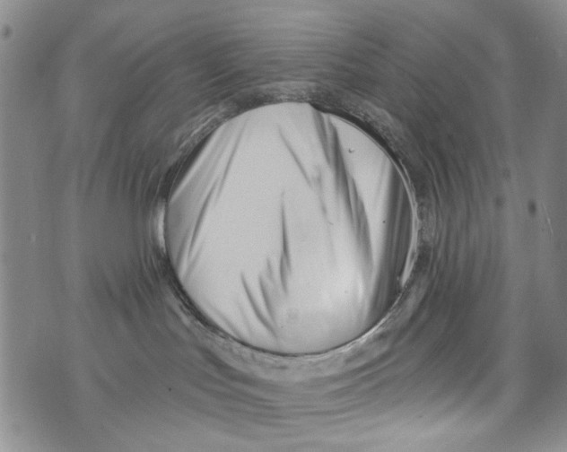 X0000073910047200609082224