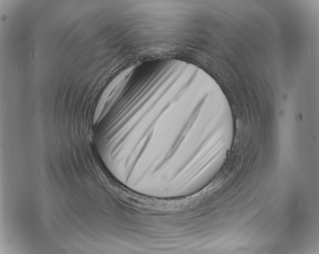 X0000073910048200609082224