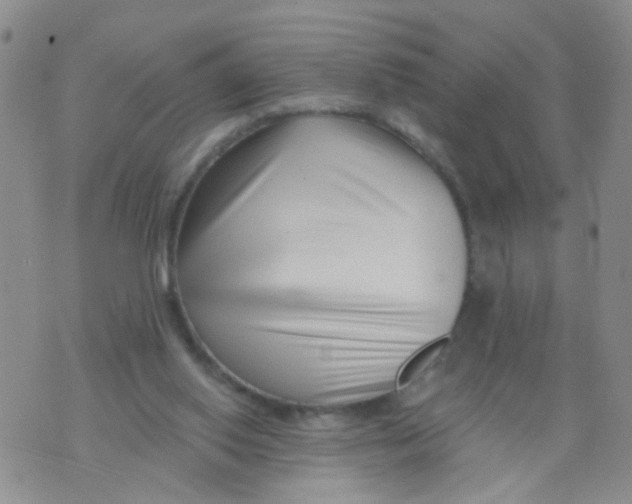 X0000073910062200609082223