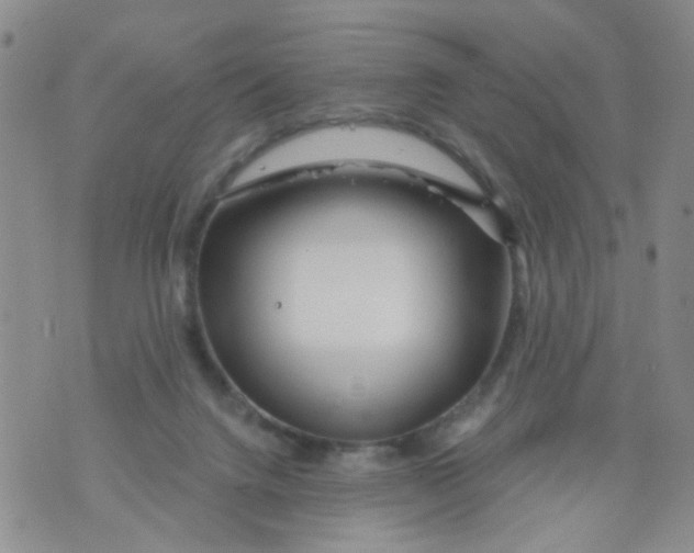 X0000073910072200609082223
