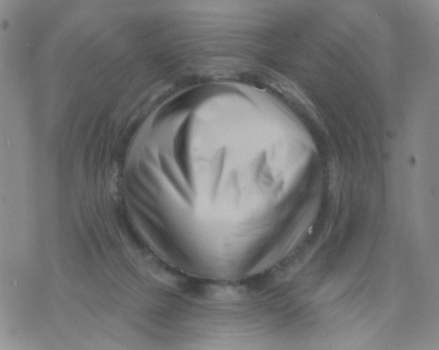 X0000073910073200609082223