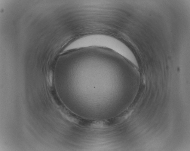 X0000073910076200609082223
