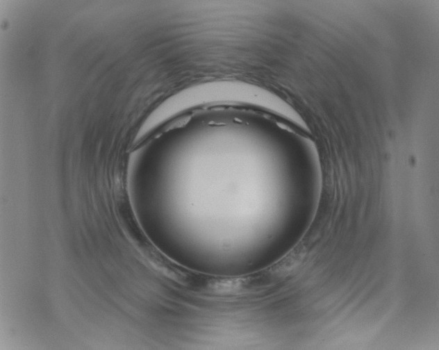 X0000073910084200609082223
