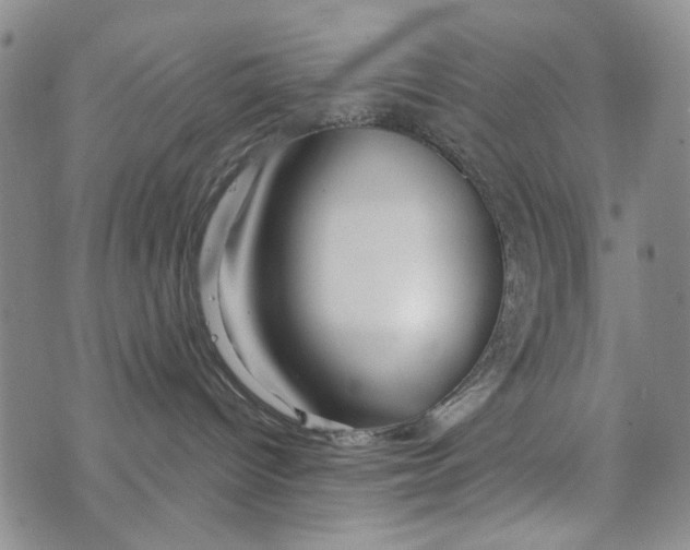 X0000073910096200609082224