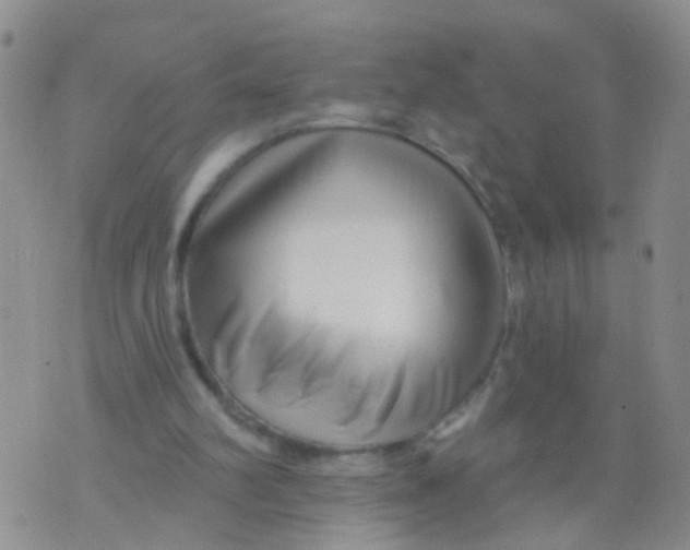 X0000073910102200609082223