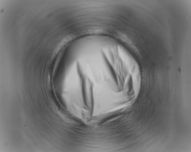 X0000073910110200609082223