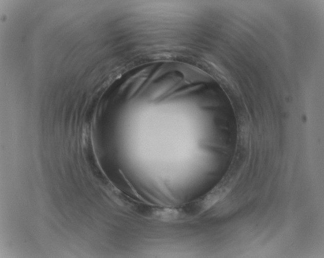 X0000073910125200609082222
