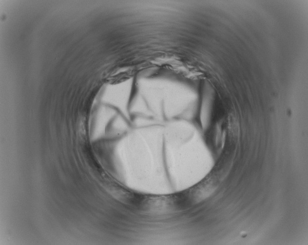 X0000073910127200609082222