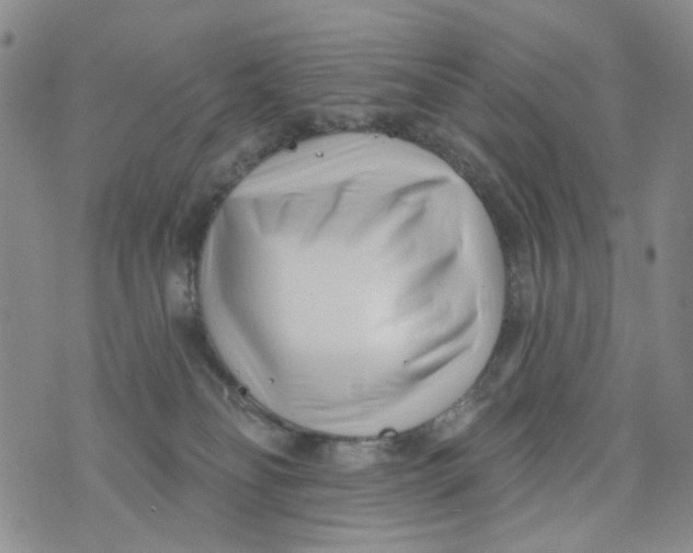 X0000073910134200609082222