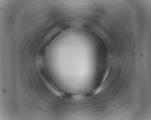 X0000073910141200609082222