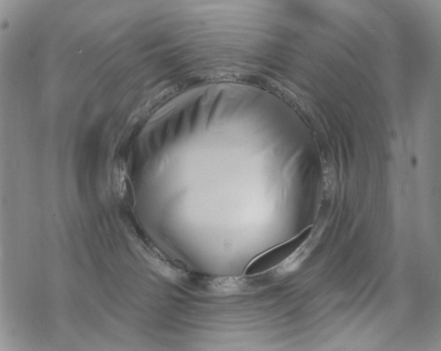 X0000073910142200609082222