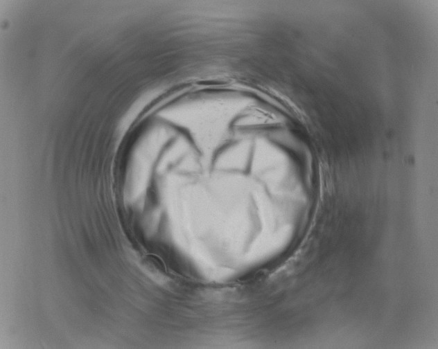 X0000073910147200609082221